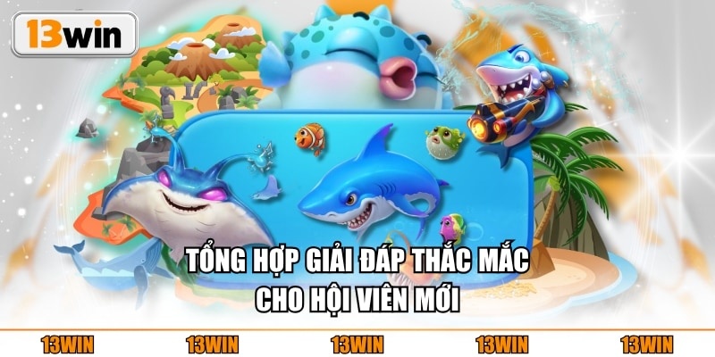 Tổng hợp giải đáp thắc mắc cho hội viên mới